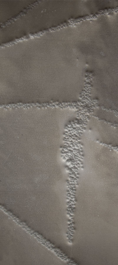 Cariz Nordlöf