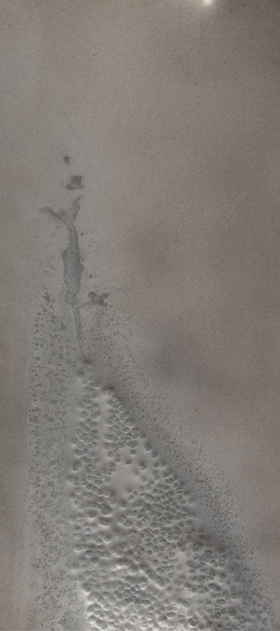 Cariz Nordlöf